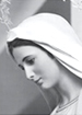 La Virgen María en San Nicolás nos habla a los jóvenes